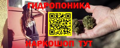 крисы Кинель
