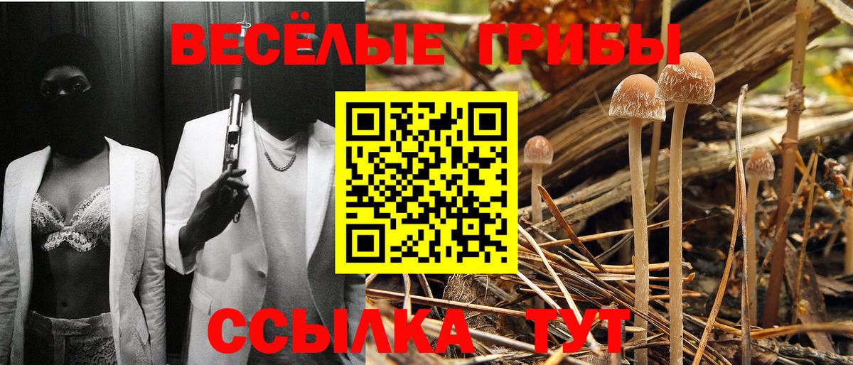 Галлюциногенные грибы мухоморы  Галлюциногенные грибы мицелий  Вход с VPN  Железноводск 
